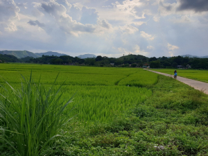 Nhà máy May và Giày Xuất khẩu Kiên Thọ